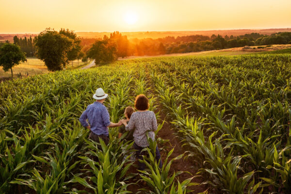 Gestion Agricola con Microorganismos Eficientes - Imagen 4