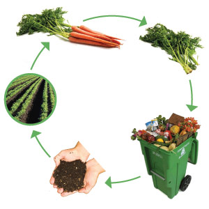 Galería 5 "Ciclo del compostaje representado con imágenes de residuos orgánicos, composta, cultivo y cosecha de alimentos."