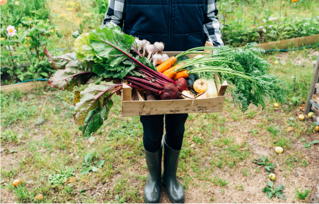 Los beneficios de vivir de manera orgánica 2 Verduras Orgánicas