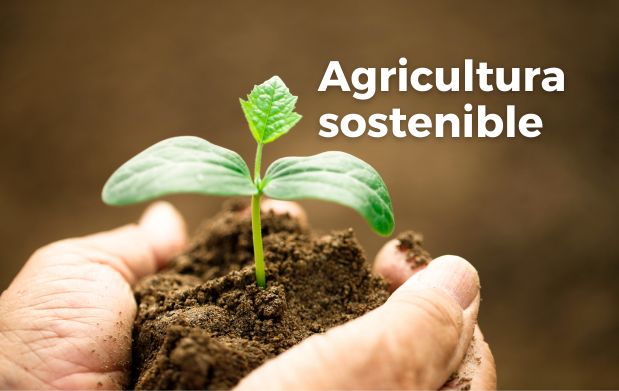 Innovación en Servicios Ecológicos 4 A5F6AF35 B0E1 44D6 842F 1165C4B0D0C9 3545704731