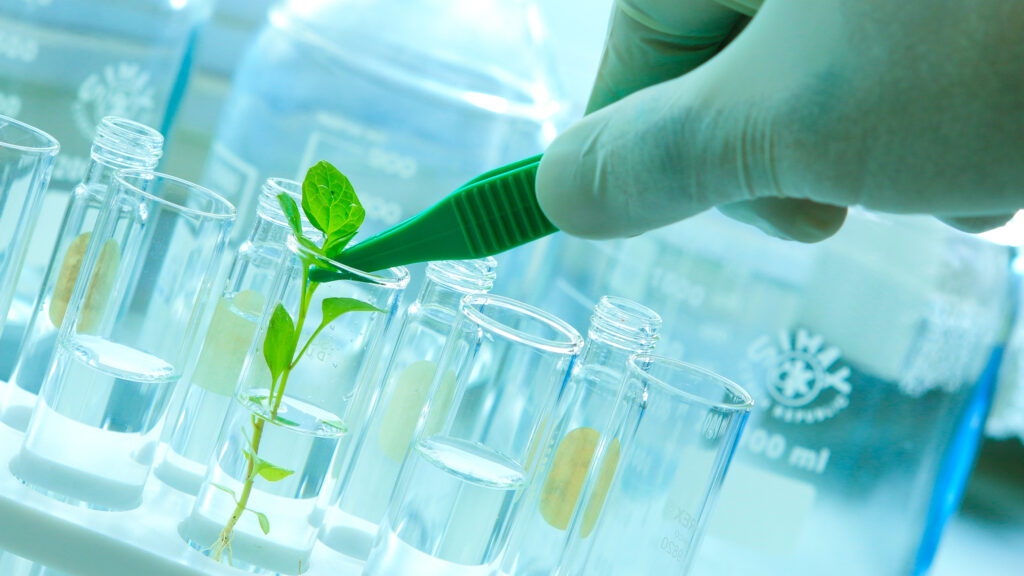 Tecnología y naturaleza: aliados para un mundo mejor 6 Biotecnologia