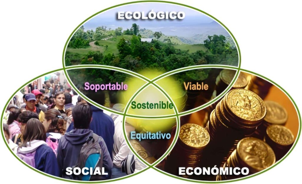 Productos sustentables que transforman tu rutina diaria. 6 Desarrollo Sostenible Educacion Ambiental