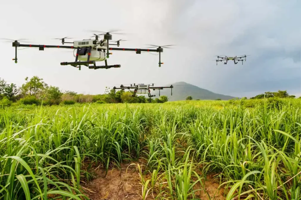 Tecnología y naturaleza: aliados para un mundo mejor 3 Tecnología y naturaleza