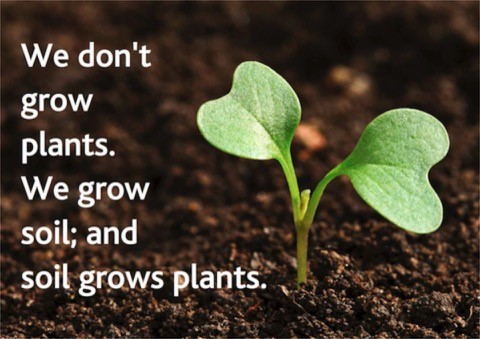 Los beneficios de vivir de manera orgánica 1 We do not grow plants