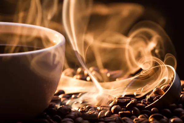 Innovación en Servicios Ecológicos 1 aroma cafe especialidad guatemala