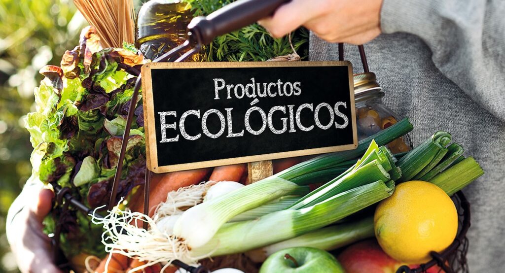 Medio ambiente, la importancia de elegir productos respetuosos con el entorno natural. 1 asi son nuestros productos ecologicos