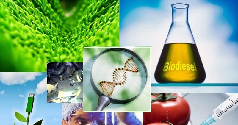 Tecnología y naturaleza: aliados para un mundo mejor 4 biotecnologia 3