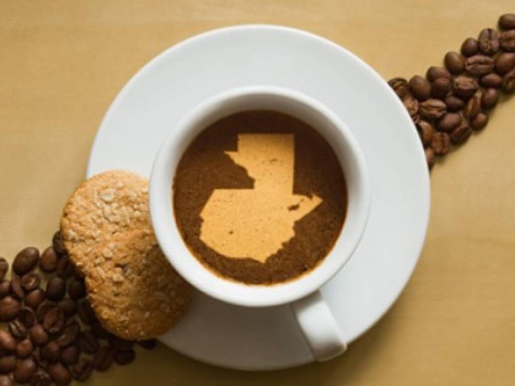 Café Bourbon, el viaje del café guatemalteco hacia la sostenibilidad 4 cafe guatemala origen menuorganica
