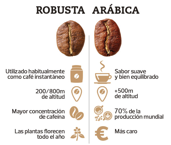 Cata del Café inolvidable 3 cafe robusta y arabica