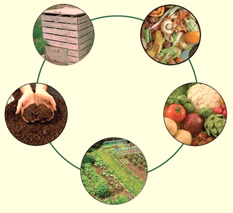 Compostaje: Transformando Residuos Orgánicos en abono 1 ciclo del compostaje organico con residuos naturales