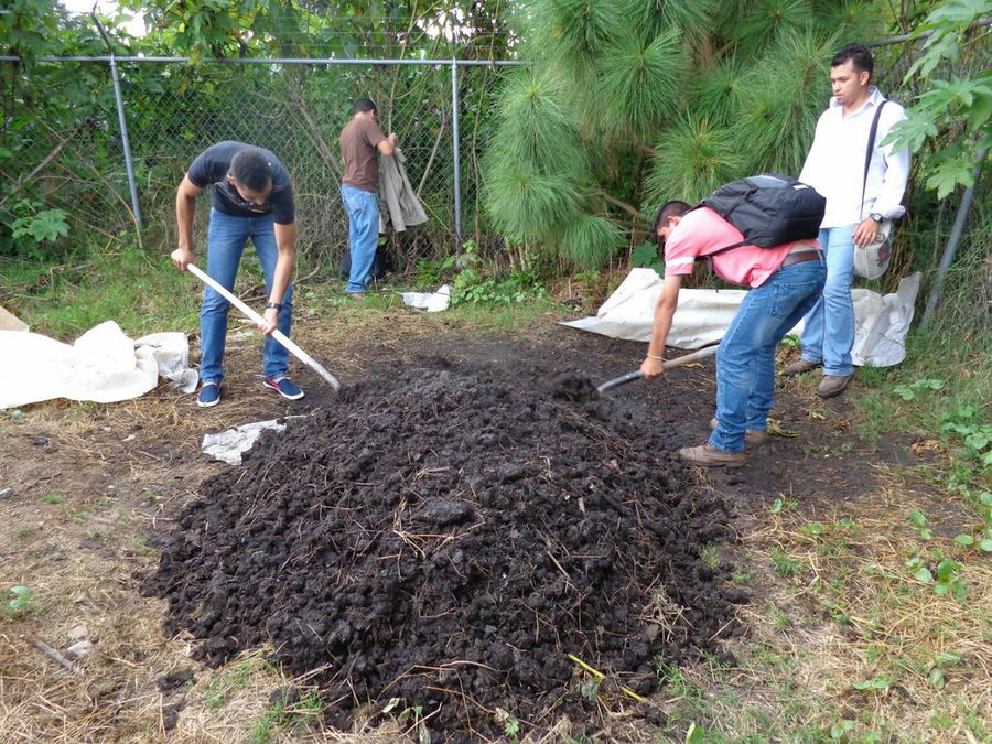 Cómo los Microorganismos Eficientes mejoran nuestro entorno 4 compost