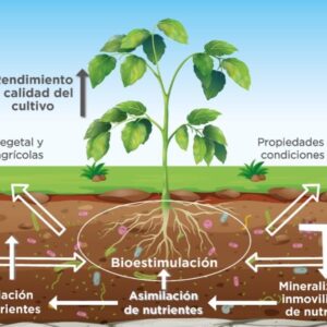 Gestion Agricola