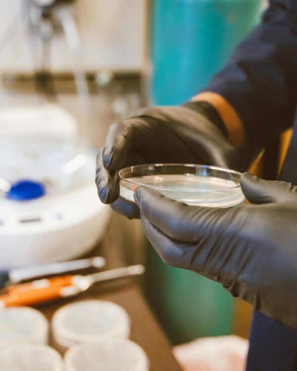 Técnico de laboratorio con guantes sosteniendo una caja de Petri con cultivo microbiano
