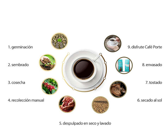 Tostado de café 6 proceso produccion cafe artesanal menuorganica