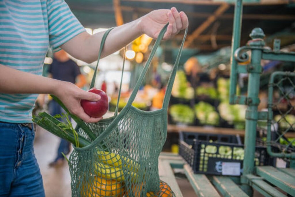 Productos sustentables que transforman tu rutina diaria. 3 productos ecologicos