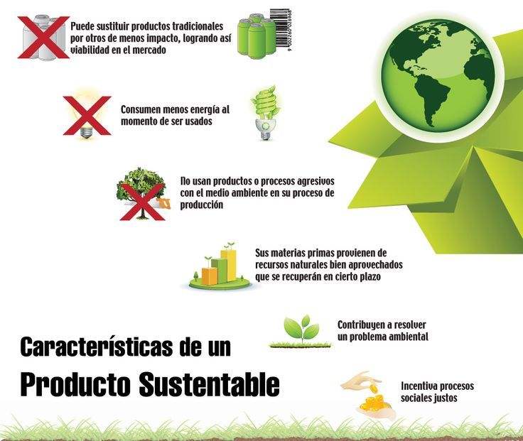 Productos sustentables que transforman tu rutina diaria. 1 productos sustentables