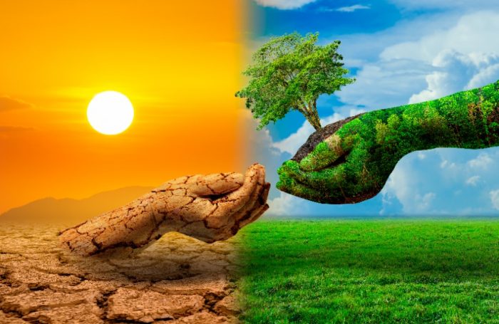 Responsabilidad social y ambiental, en Menuorganica somos pioneros 6 responsabilidad social y ambiental