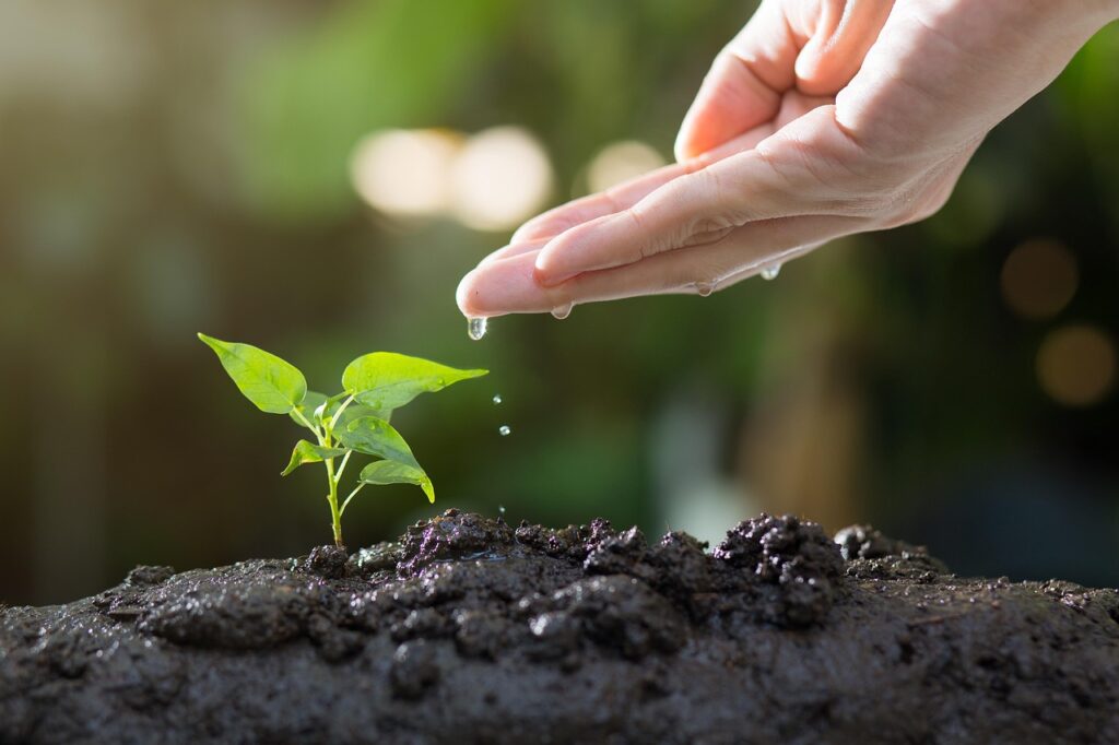 FAQ 6 soil 8080788 1280