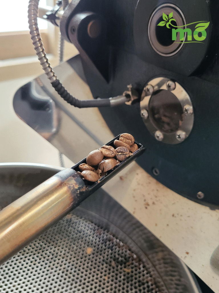 El tostado del Café: 2 tostado cafe bourbon controlado