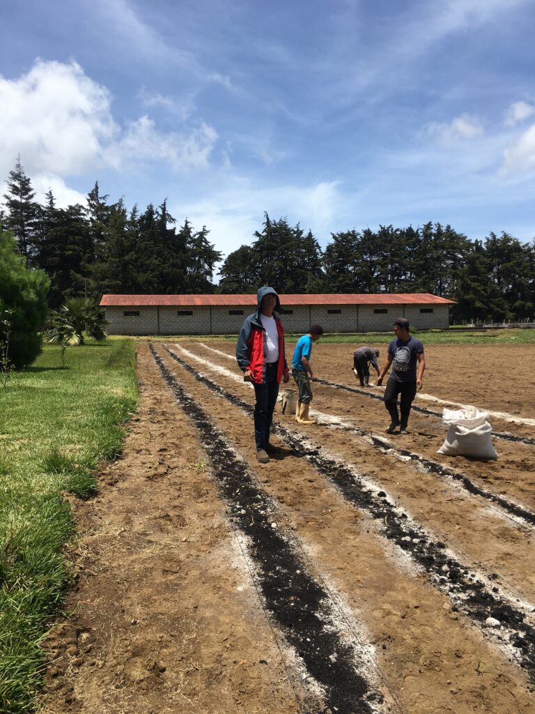 Responsabilidad social y ambiental, en Menuorganica somos pioneros 4 yo en el campo