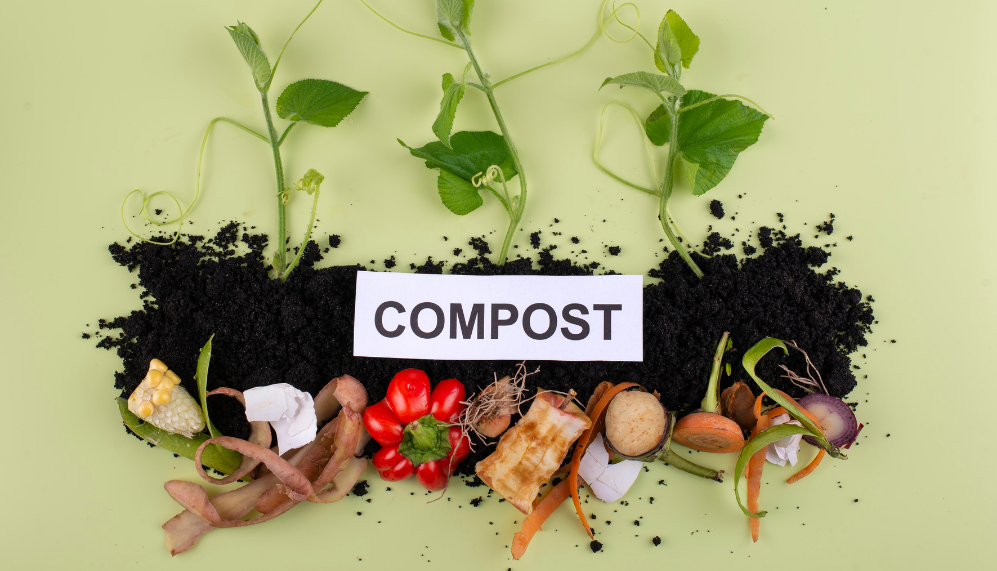 Compostaje De Residuos a Fertilizante Natural 2 Post Destacada 22 4187258147