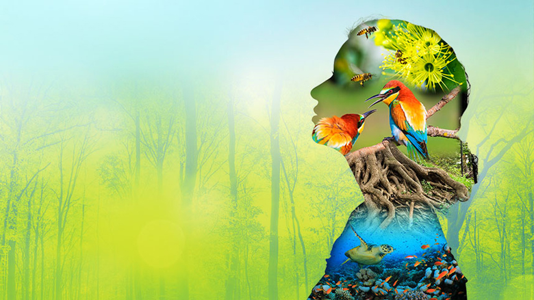 La Biodiversidad 2 Evento sobre biodiversidad promoviendo la conservación del medio ambiente