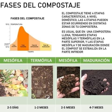 Proceso de aplicación de microorganismos eficientes (EM’s) para mejorar la calidad del suelo y optimizar cultivos. Compostaje, las fases de descomposición de la materia orgánica.