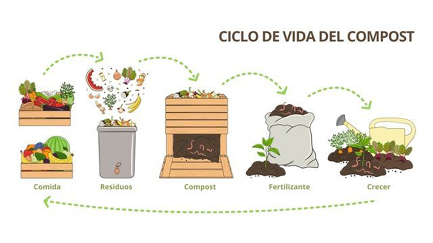 Ilustra como la basura orgánica se convierte en fertilizante ciclo de la composta