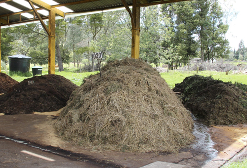 Compostaje De Residuos a Fertilizante Natural 1 fases compostaje